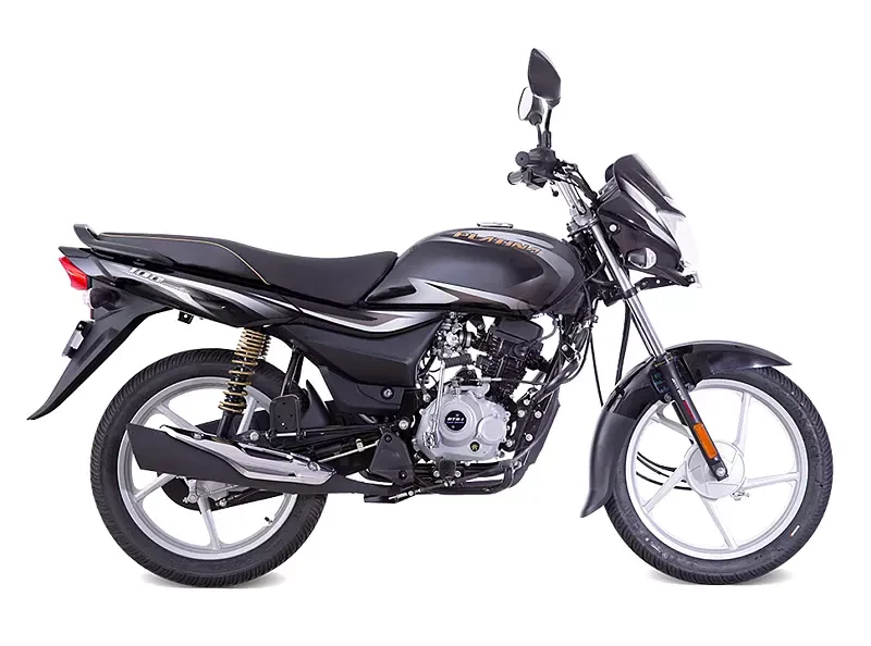 Bajaj Platina 100