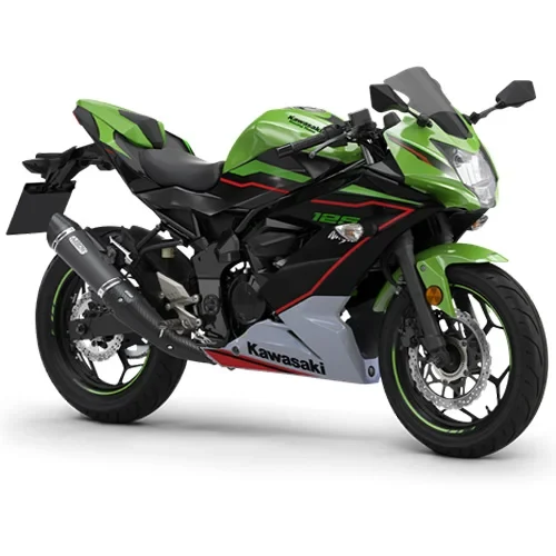  Kawasaki Ninja 125 2022