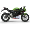  Kawasaki Ninja 125 2022