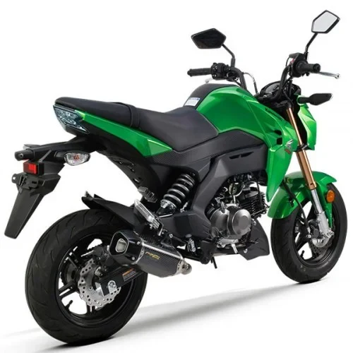 Kawasaki Z125 PRO
