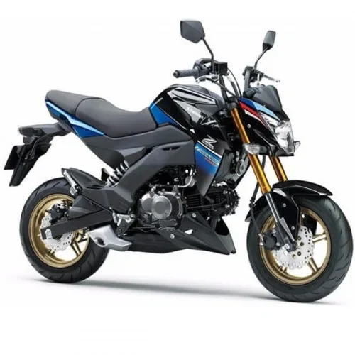 Kawasaki Z125 PRO