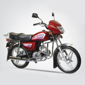 Zongshen ZS 50