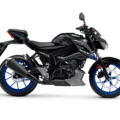 Suzuki GSX-S125